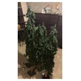 4 Christmas trees