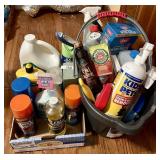 Group of household cleaners with bucket