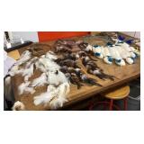 Dreamcatcher collection