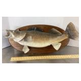 Schwarz Studio taxidermy walleye mount