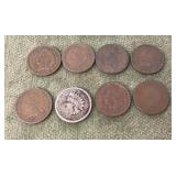 8 Indian head pennies