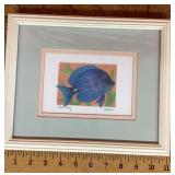 Framed Sally Hoyler fish drawing