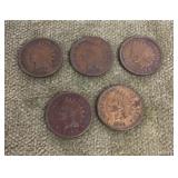 5 Indian head pennies