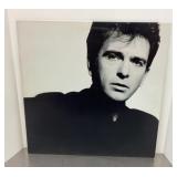 Peter Gabriel LP