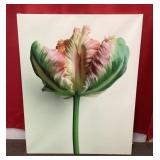 Jeffrey Milstein print on canvas 24x30