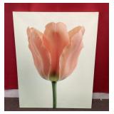 Jeffrey Milstein print on canvas 24x30