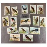 Useful Birds of America trading cards