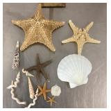 Starfish and seashells