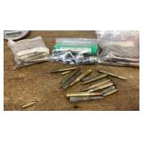 Assorted rifle and 12 gauge shells