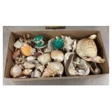 Box of seashells