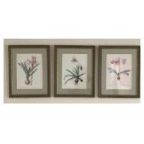 3 framed botanicals