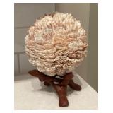 Crafted seashell art on stand