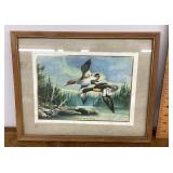 Framed duck print