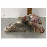 Arizona petrified wood