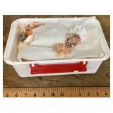 3-layers of seashells in container