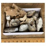 Box of minerals with fossils
