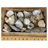 Box of minerals with fossils