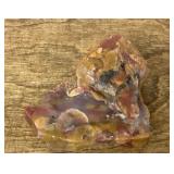 Arizona petrified wood