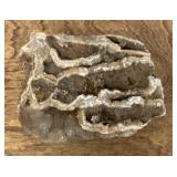 Missouri brain rock with druzy quartz