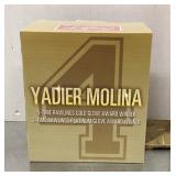 Yadier Molina Gold and Platinum glove award