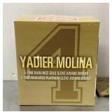 Yadier Molina Gold and Platinum Glove award