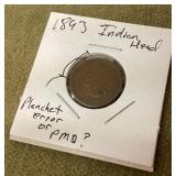1893 Indian head penny