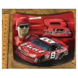 Dale Earnhardt Jr. replica hood