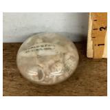 1904 World's Fair paperweight filled with shells