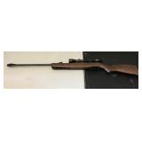 Gamo 45 caliber pellet gun w/Winchester 4x32 scope