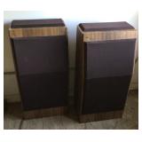 Pair of DBX speakers