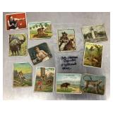 11 antique 1909 Hassan Cigarettes trading cards