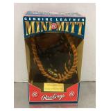 Mark McGwire mini mitt