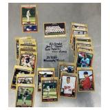 2005 Topps Gold Parallel Minnesota Twins cards