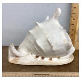 Large horned helmet seashell