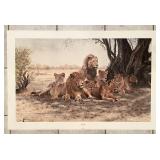 Charles Fracï¿½ signed print 'Royal Pride' 25x38