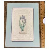 Signed Blue Flag Iris print