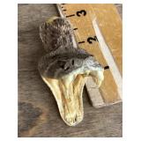 Rattlesnake head pin