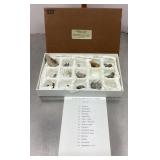 Fossil specimen set