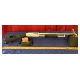 Apintl-Pahrump 12 gauge shotgun