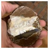 Cut and polished "thunderegg" rock nodule