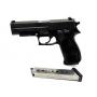 Early June Shooting & Ammunition Auction
