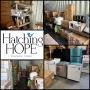 May Hatching Hope Warehouse Auction -  Appliances, HVAC, Lighting, Linens, Batteries and More!