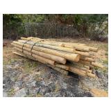 Untreated Wood Posts