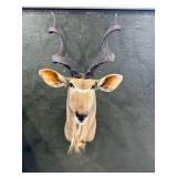 Eland