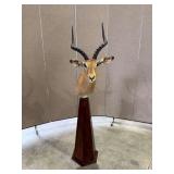 Impala Shoulder Mount on Pedestal Base