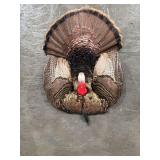 Turkey Breast Mount