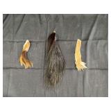 Taxidermy Tail Group