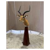 Impala Shoulder Mount on Pedestal Base