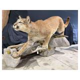 Mountain Lion Wall Pedestal Mount