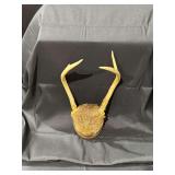 Deer Antlers